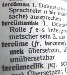 bilingua dolmetschen